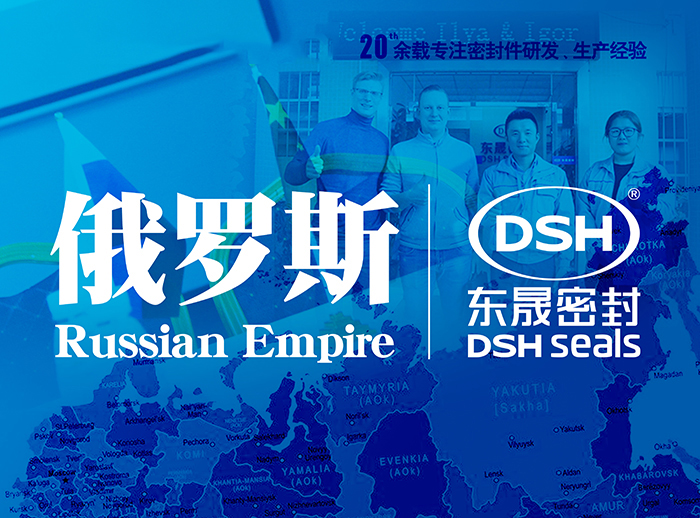 俄罗斯液压机器制造行业的国外客户来访小优米app密封公司参观及工作洽谈！